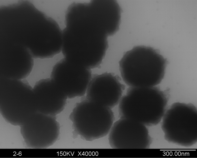 表面富氨基核-壳式结构磁性纳米粒子
