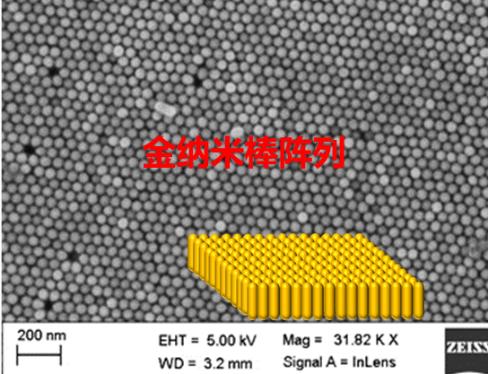 金纳米棒阵列（Au-NRs-A）