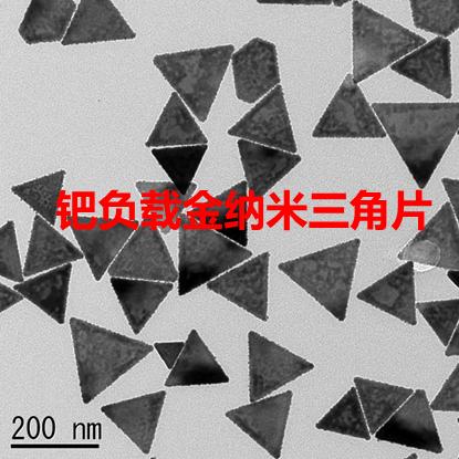 钯负载金纳米三角片（Pd-Au-TNPs）.jpg
