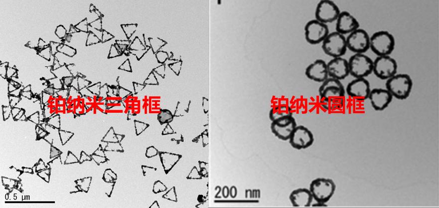 铂纳米框 （Pt-NFs）