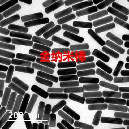 金纳米棒（Au-NRs）